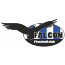 Floorball Club FALCON white